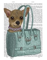 Chihuahua In Bag Framed Print