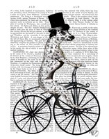 Dalmatian on Bicycle Fine Art Print