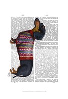 Dachshund With Woolly Sweater Fine Art Print