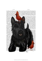 Scottish Terrier and Birds Fine Art Print