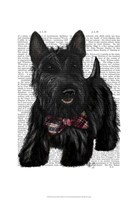 Scottish Terrier and Bow Fine Art Print