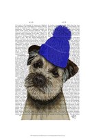 Border Terrier with Blue Bobble Hat Framed Print