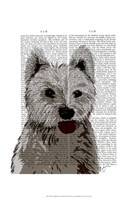 West Highland Terrier Plain Fine Art Print