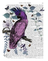 Pink Parrot Fine Art Print