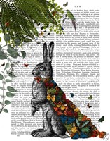 Hare with Butterfly Cloak Fine Art Print