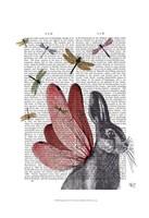 Dragonfly Hare Fine Art Print