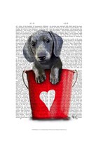 Buckets of Love Dachshund Puppy Framed Print