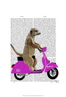 Meerkat on Pink Moped Framed Print