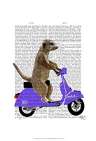 Meerkat on Lilac Moped Framed Print