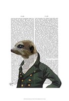 Dandy Meerkat Portrait Framed Print