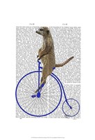 Meerkat On Blue Penny Farthing Framed Print