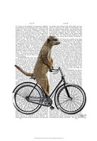 Meerkat on Bicycle Fine Art Print