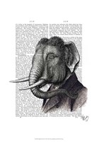 Elephant Portrait Framed Print