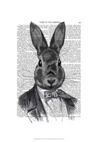 Rabbit In Suit Portrait Framed Print