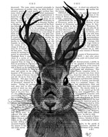 Jackalope with Grey Antlers Fine Art Print