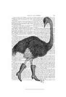 Ostrich In Boots Framed Print