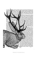 Jackalope Portrait 2 Fine Art Print