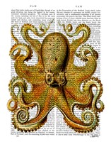 Vintage Yellow Octopus Front Framed Print