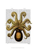 Vintage Yellow Octopus Underside Fine Art Print