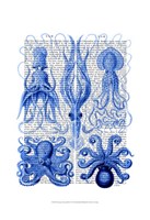 Octopus & Squid Blue Fine Art Print