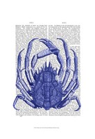 Blue Crab Fine Art Print