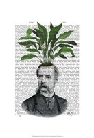 Aspidistra Head Plant Head Framed Print
