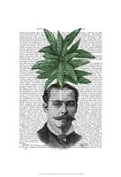 Chinese Evergreen Head Plant Head Framed Print