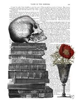 Skull And Books Fine Art Print