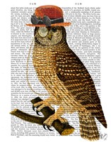 Owl with Steampunk Style Bowler Hat Fine Art Print