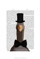 Distinguished Goose Fine Art Print