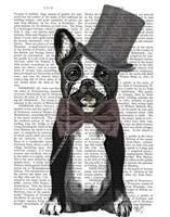 Monsieur Bulldog Fine Art Print