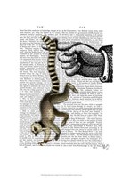 Ring Tailed Lemur on Finger Fine Art Print
