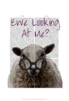 Ewe Looking at Me DeNiro Sheep Fine Art Print
