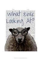 What Ewe Looking At Fine Art Print