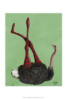 Ostrich Striped Leggings Fine Art Print