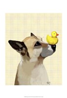 Dog and Duck Framed Print