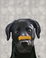 Black Labrador With Bone on Nose Framed Print