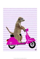 Meerkat on Pink Moped Fine Art Print