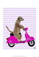 Meerkat on Pink Moped Framed Print