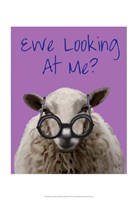 Ewe Looking at Me DeNiro Sheep Fine Art Print