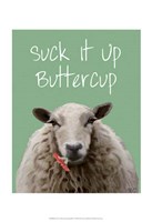Suck It Up Buttercup Sheep Print Fine Art Print