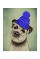 Border Terrier with Blue Bobble Hat Framed Print