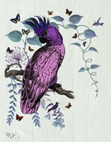 Pink Parrot Fine Art Print