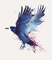 Bloody Crow Fine Art Print