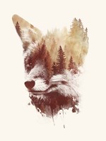 Blind Fox Fine Art Print