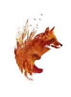 Plattensee Fox Fine Art Print