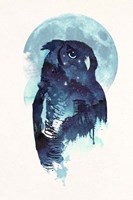 Midnight Owl Fine Art Print