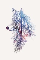 My Roots Fine Art Print