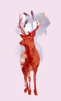 Useless Deer Fine Art Print