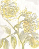 Belle Fleur Yellow I Crop Framed Print
